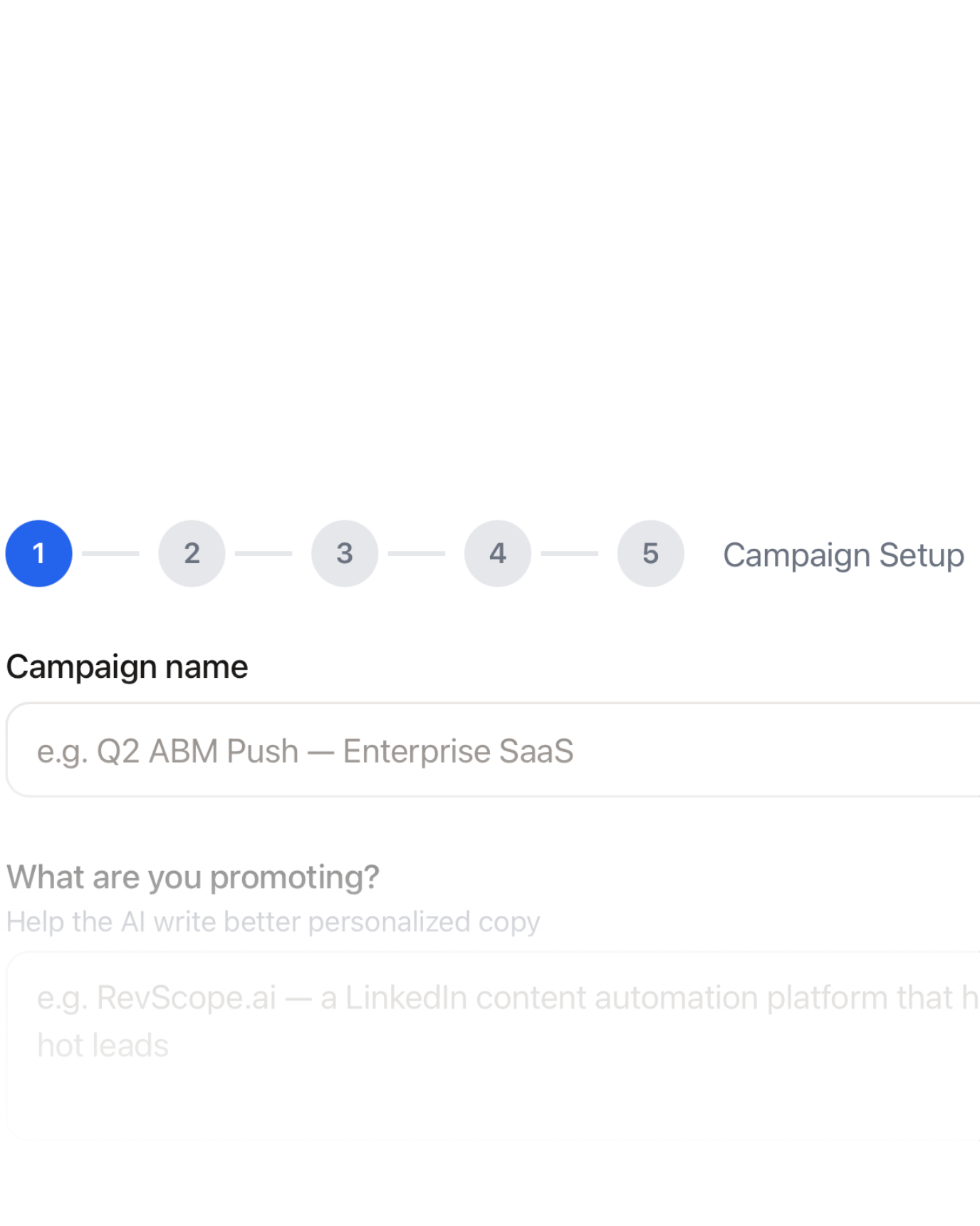 RevScope campaign setup wizard